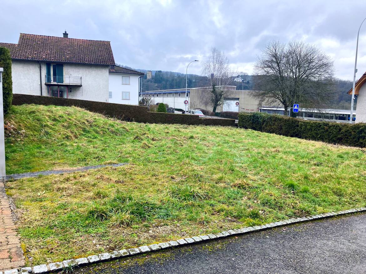 redimmensionnée photo