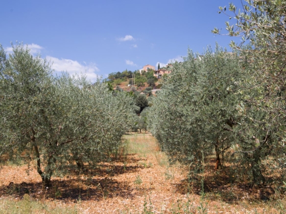 1760971922 Vf1707 1 Original