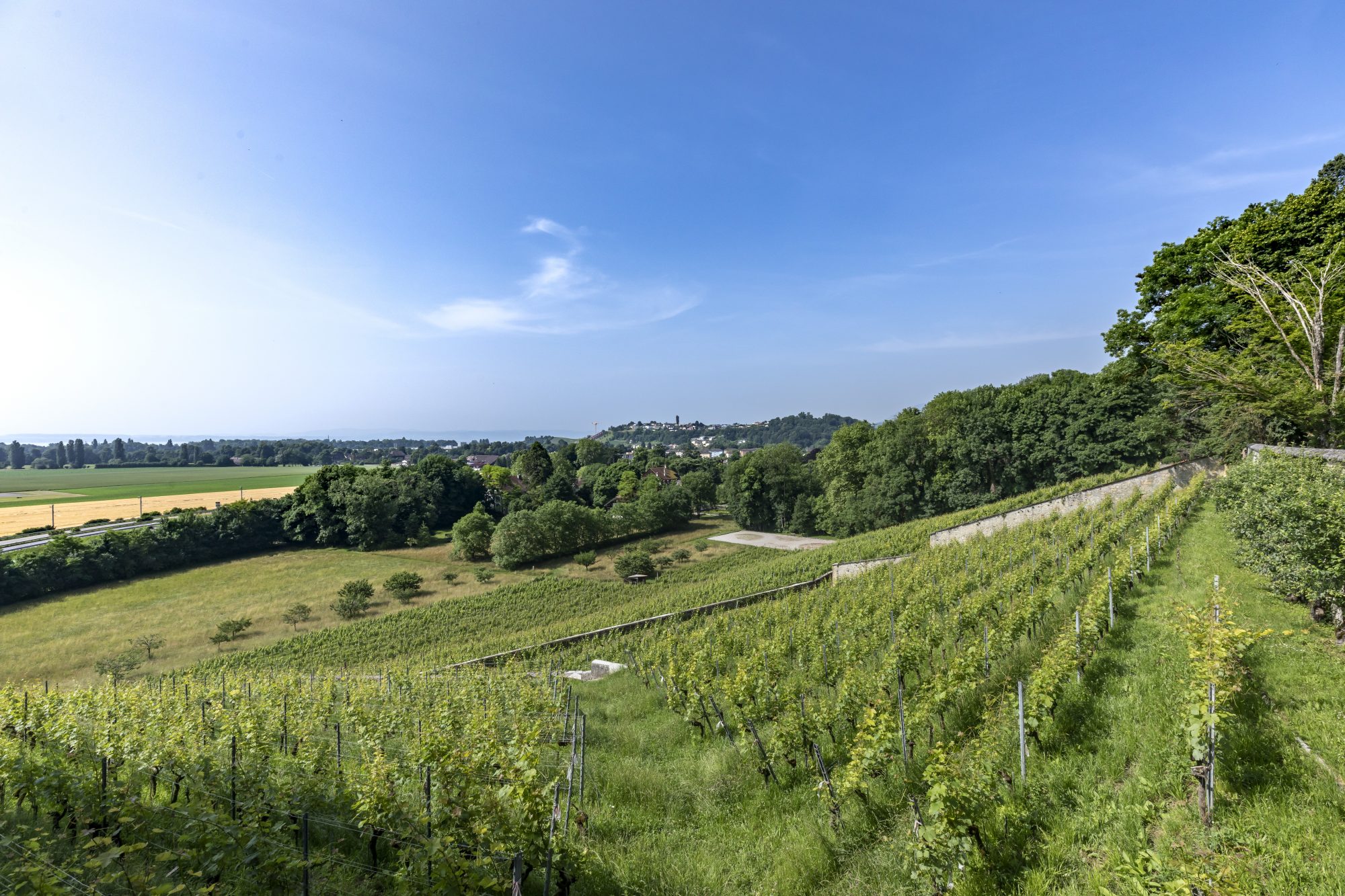 1760436637_VF1695_1_original