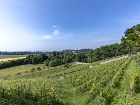 Domaine D’exception Au Bord D’un Grand Lac Suisse À Vendre